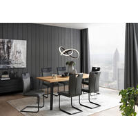 SCHWINGSTUHL  in Stahl Lederlook  - Anthrazit/Schwarz, Design, Textil/Metall (44/95.5/56cm) - Carryhome
