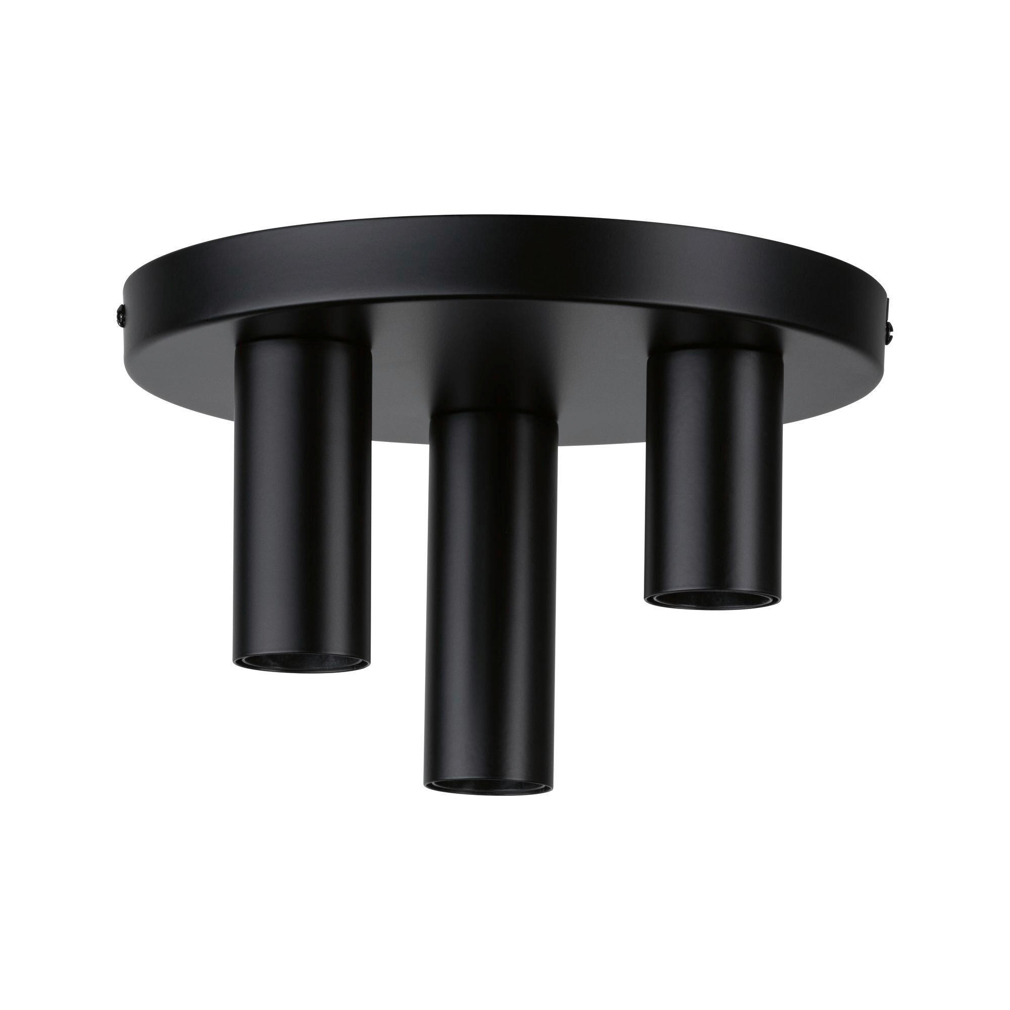DECKENLEUCHTE  24/14,5 cm    - Schwarz, Basics, Metall (24/14,5cm) - Paulmann