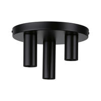 DECKENLEUCHTE 24/14,5 cm   - Schwarz, Basics, Metall (24/14,5cm) - Paulmann