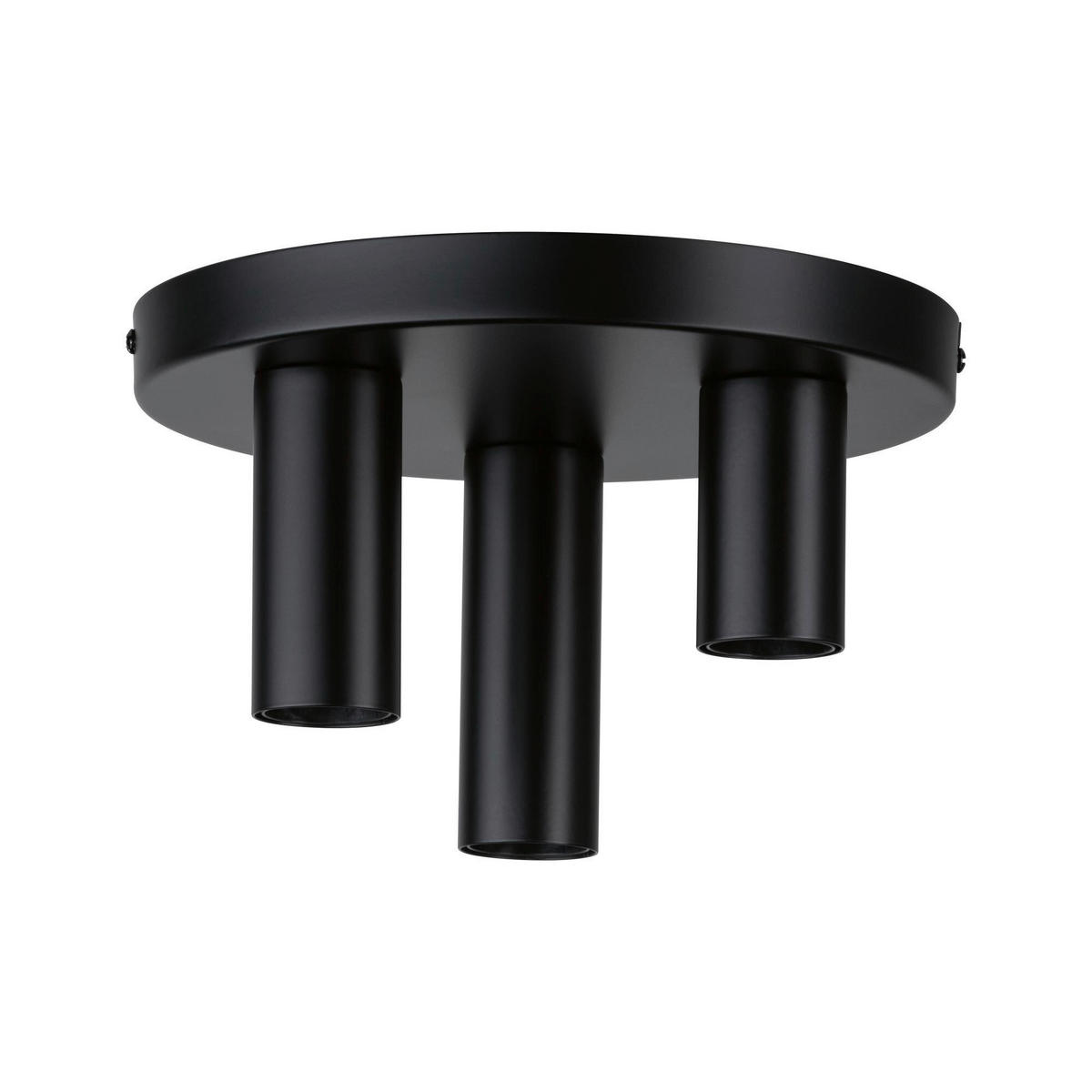 DECKENLEUCHTE 24/14,5 cm   - Schwarz, Basics, Metall (24/14,5cm) - Paulmann