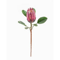 MŰNÖVÉNY - magenta/fehér, Basics, műanyag