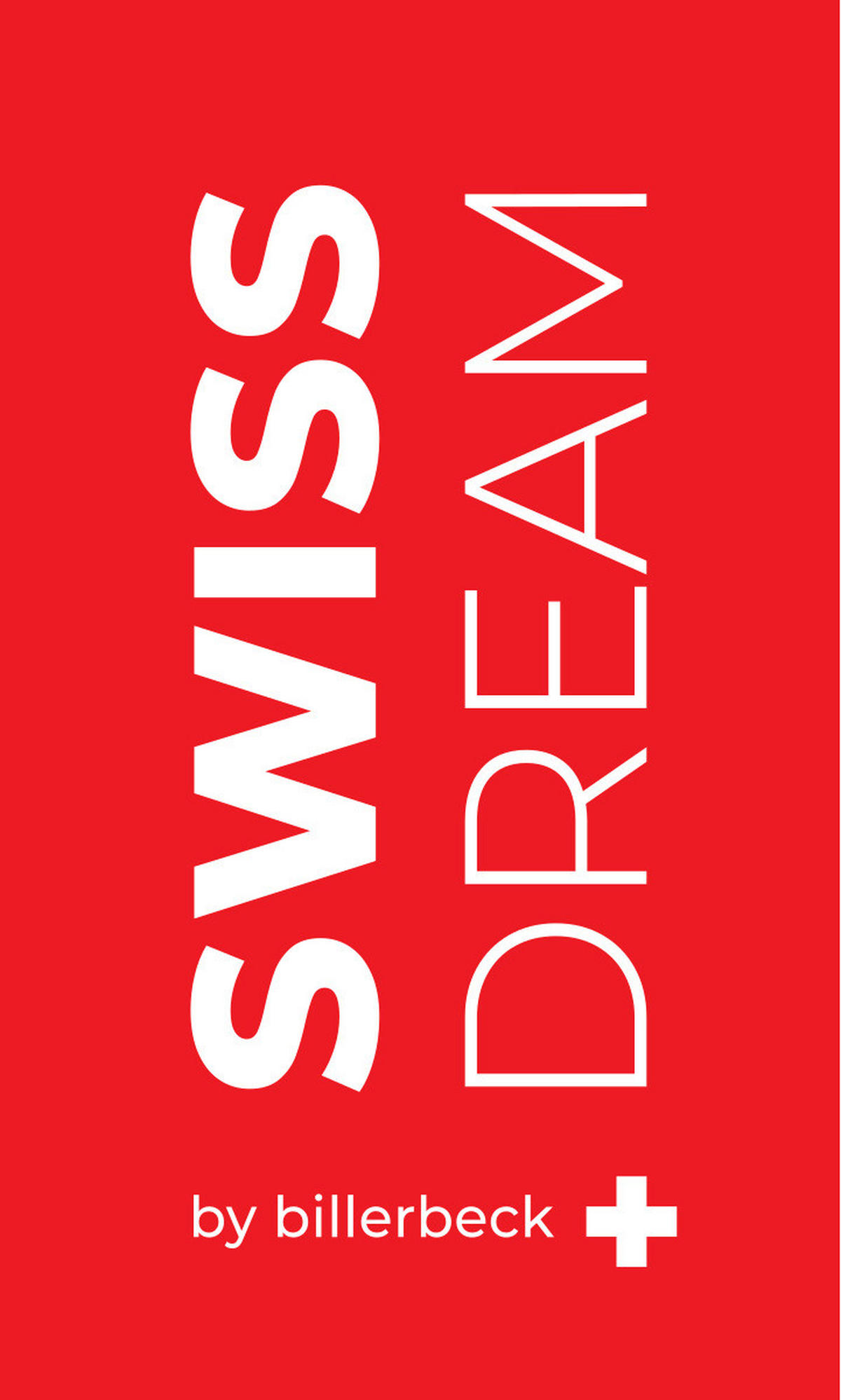 3-KAMMER-KISSEN 65/100 cm  - Konventionell, Textil (65/100cm) - Billerbeck