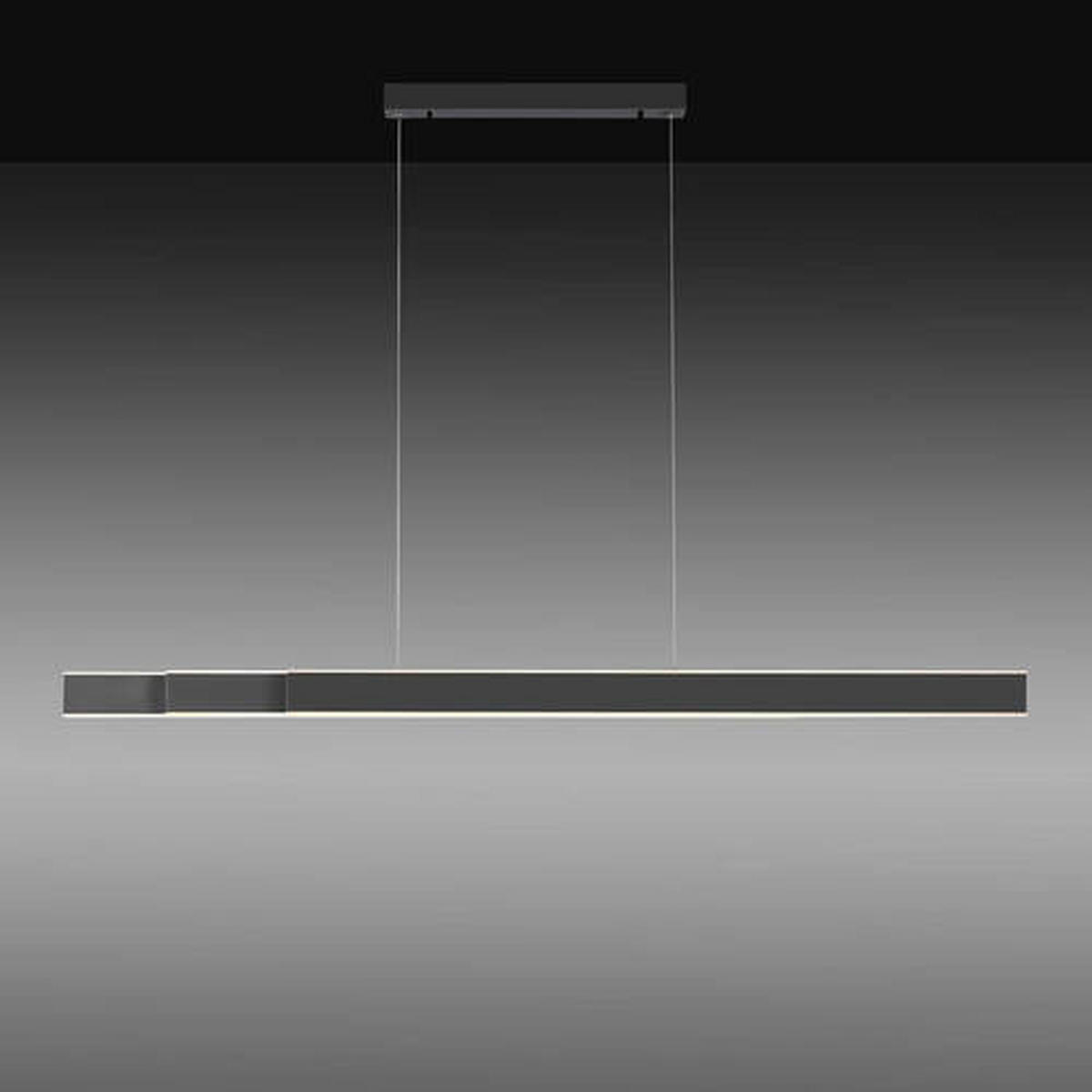 LED-HÄNGELEUCHTE 179/4,8/120-180 cm    - Anthrazit, Design, Kunststoff/Metall (179/4,8/120-180cm) - Neuhaus PURE