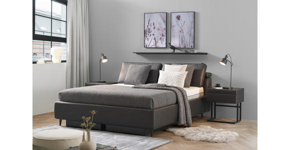 POLSTERBETT Matratze, Lattenrost Anthrazit 160/200 cm - Hellbraun/Anthrazit, Design, Holz/Textil (160/200cm) - Johann Jakob