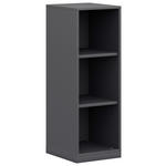 AKTENREGAL Anthrazit  - Anthrazit, KONVENTIONELL, Holzwerkstoff (40/112,5/40cm) - Moderano