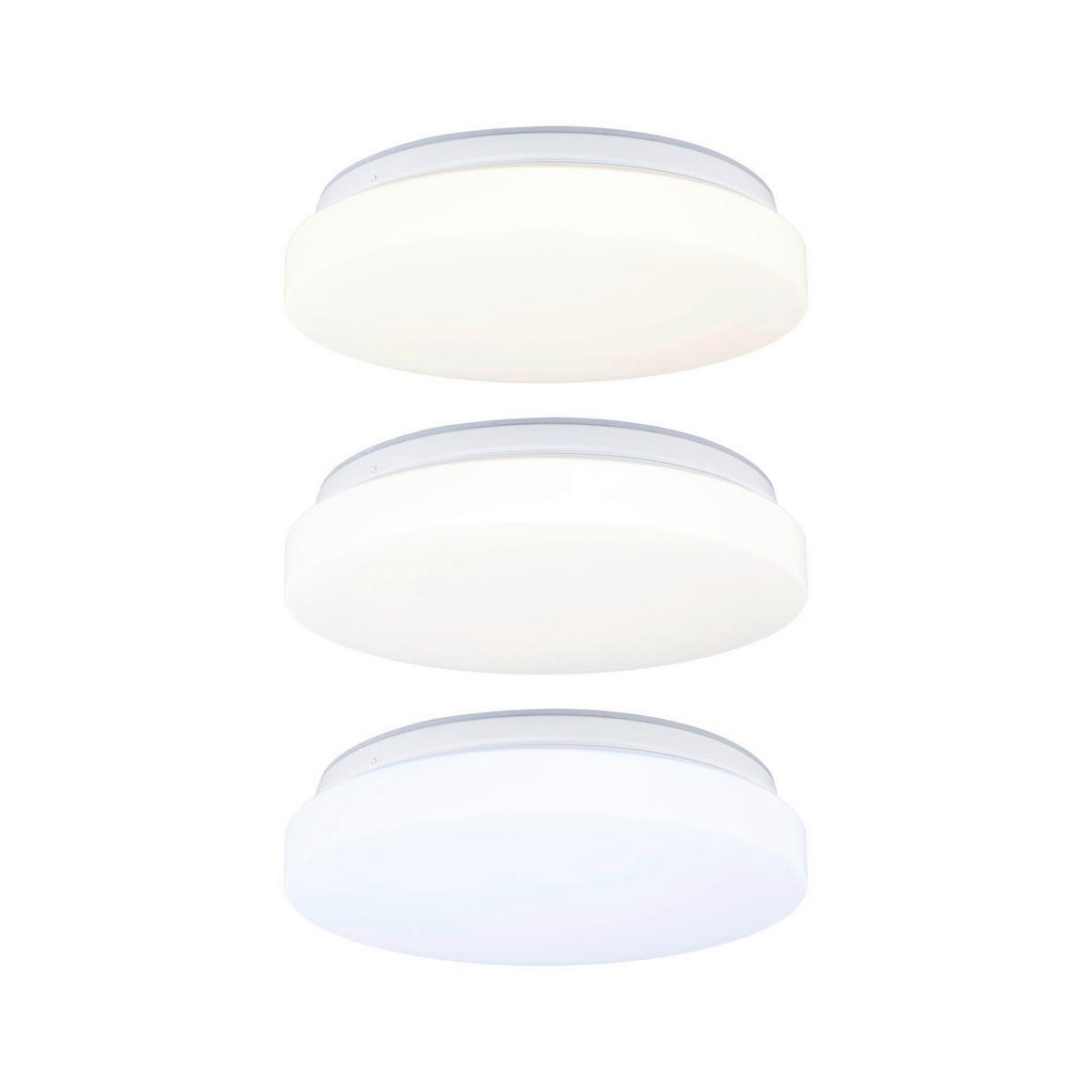 LED-DECKENLEUCHTE Luiana 28,0/8,0 cm   - Weiß, Basics, Kunststoff (28,0/8,0cm) - Paulmann