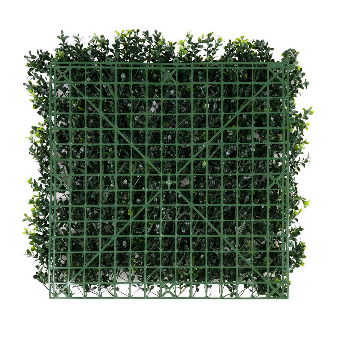 Wandverkleidung Pflanzenwand  Kunststoff  - Dunkelgrün, Trend, Kunststoff (50/50cm) - Floordirekt
