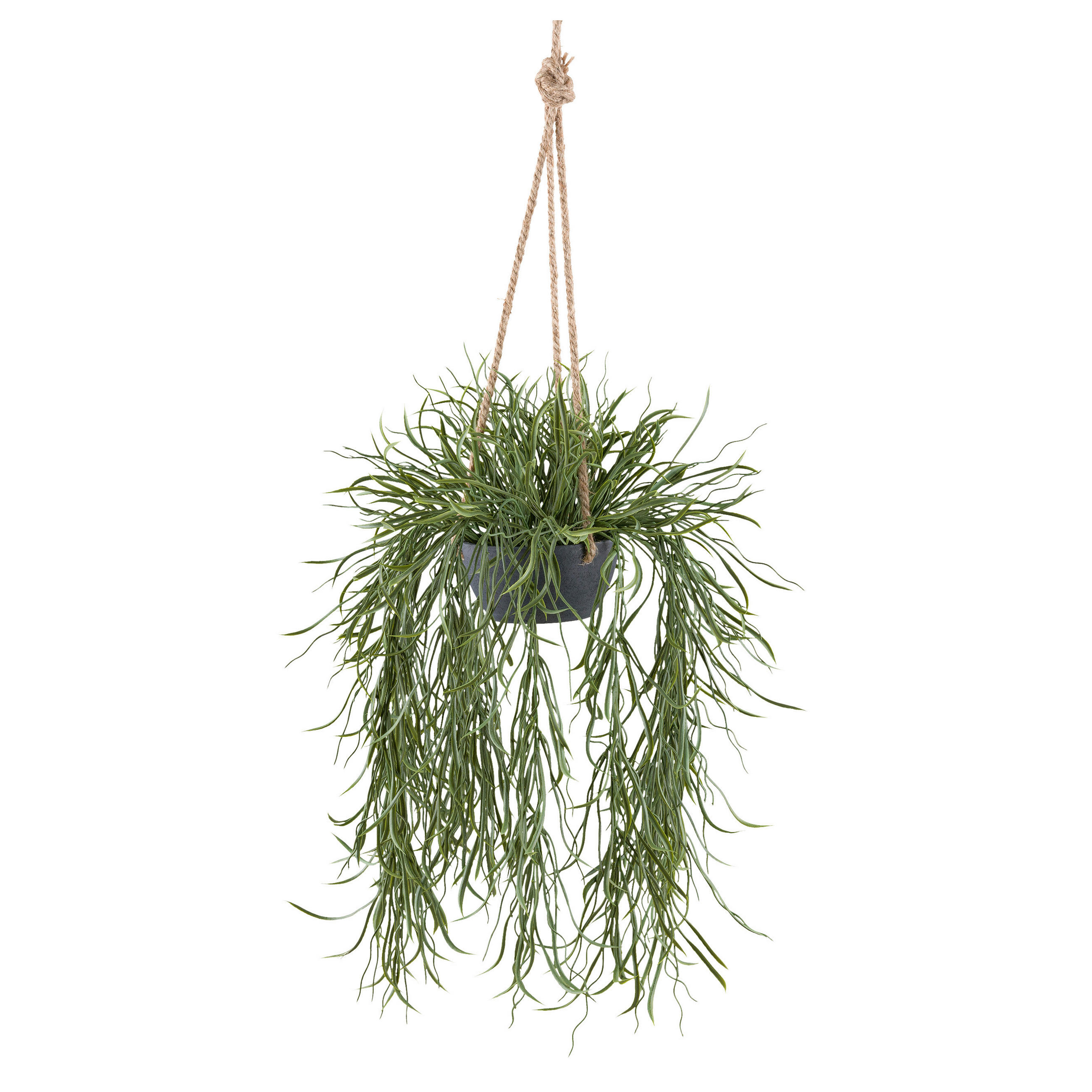 KUNSTPFLANZE 60 cm  - Grau/Grün, Design, Kunststoff (60cm) - P & B