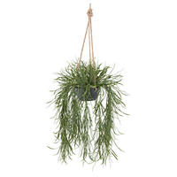 KUNSTPFLANZE 60 cm  - Grau/Grün, Design, Kunststoff (60cm) - P & B