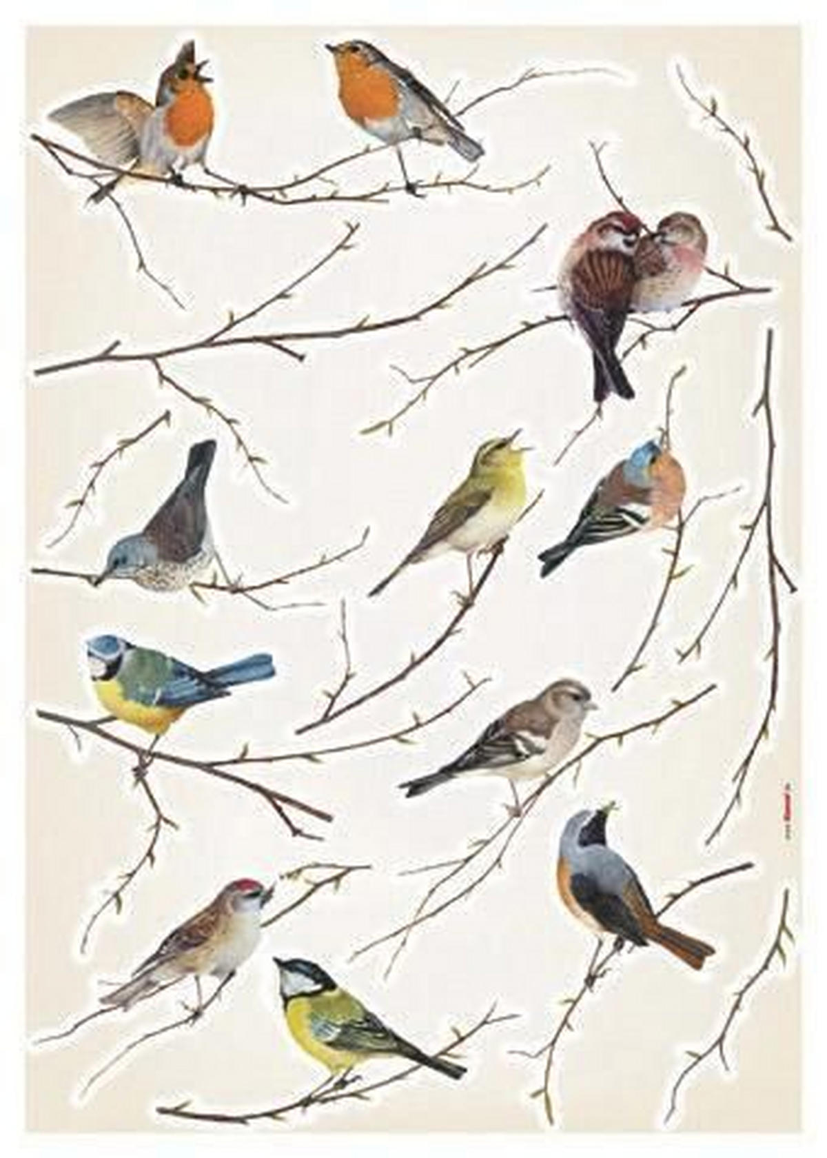 DEKOSTICKER  - Klar/Multicolor, Natur, Kunststoff (50/70cm) - Komar