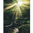 VLIESTAPETE - Natur (200/250/cmcm) VLIESTAPETE - Natur (200/250/cmcm)