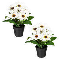 KUNSTPFLANZE Gerbera 27 cm  - Creme/Schwarz, Design, Kunststoff (27cm) - P & B