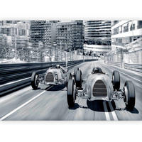 FOTOTAPETA - črna/bela, Trendi, tekstil (350/245cm) - artgeist