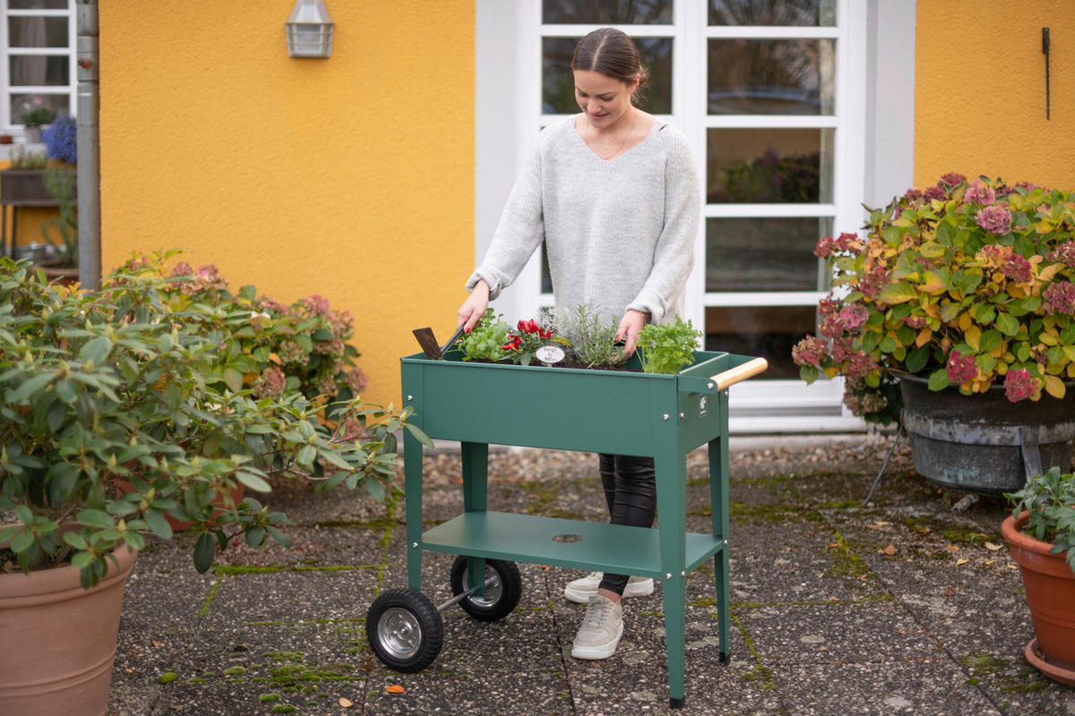 HOCHBEET 35/80/75 cm  - Olivgrün, Basics, Metall (35/80/75cm)