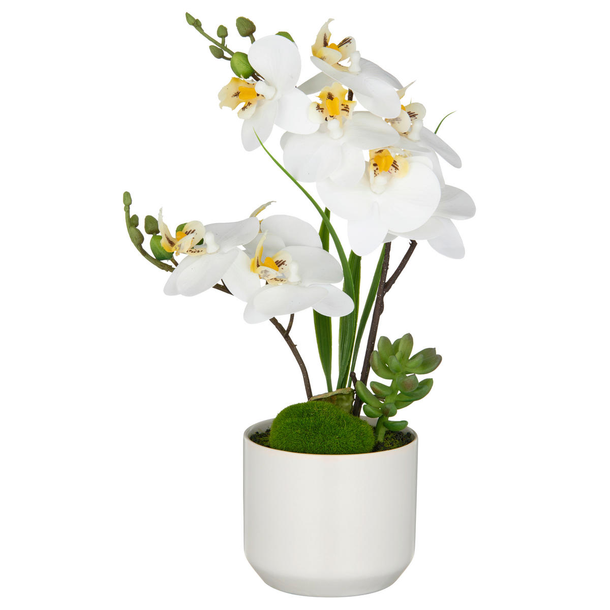 KUNSTPFLANZE Orchidee  - Weiß/Braun, Basics, Keramik/Kunststoff (14/38/14cm) - P & B