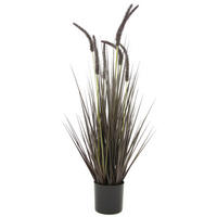 KUNSTPFLANZE  - Natur (12,5cm) - Ambia Home