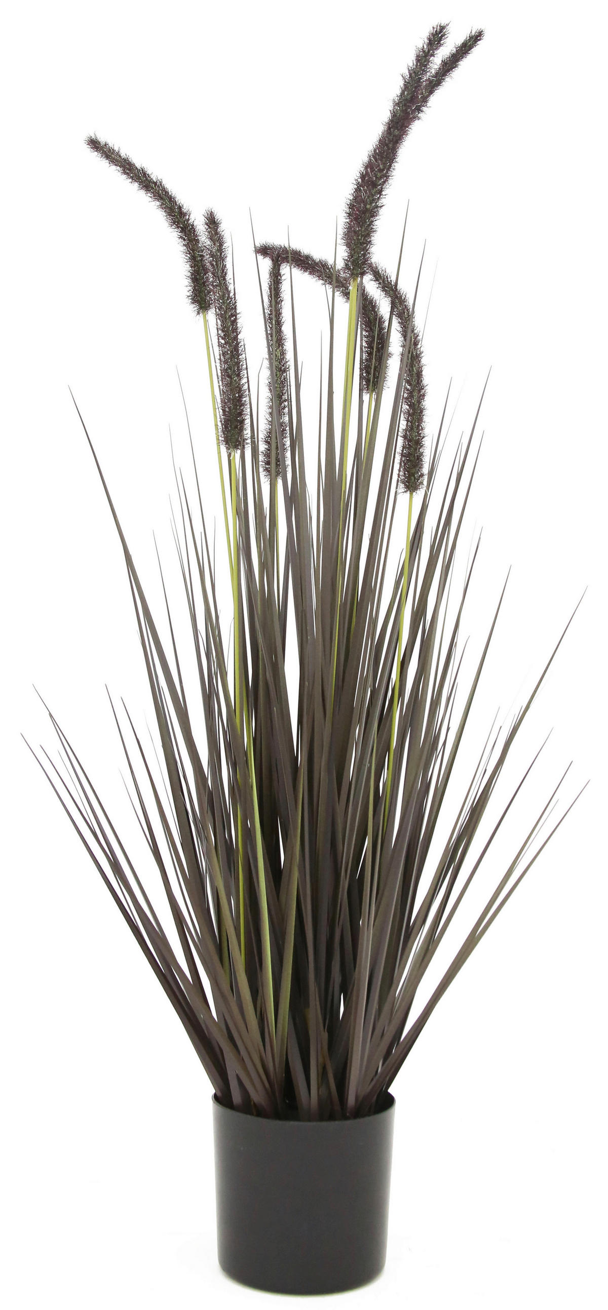 KUNSTPFLANZE  - Natur (12,5cm) - Ambia Home