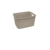 ÚLOŽNÝ BOX, plast - světle hnědá, Basics, plast (21,5/27/15cm) - Homeware