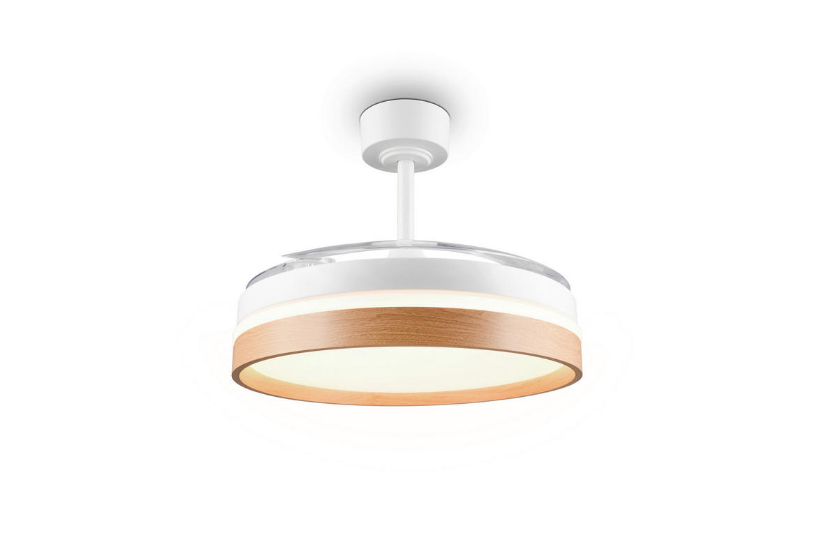 DECKENVENTILATOR - Klar/Braun, Design, Kunststoff/Metall (106/42cm)