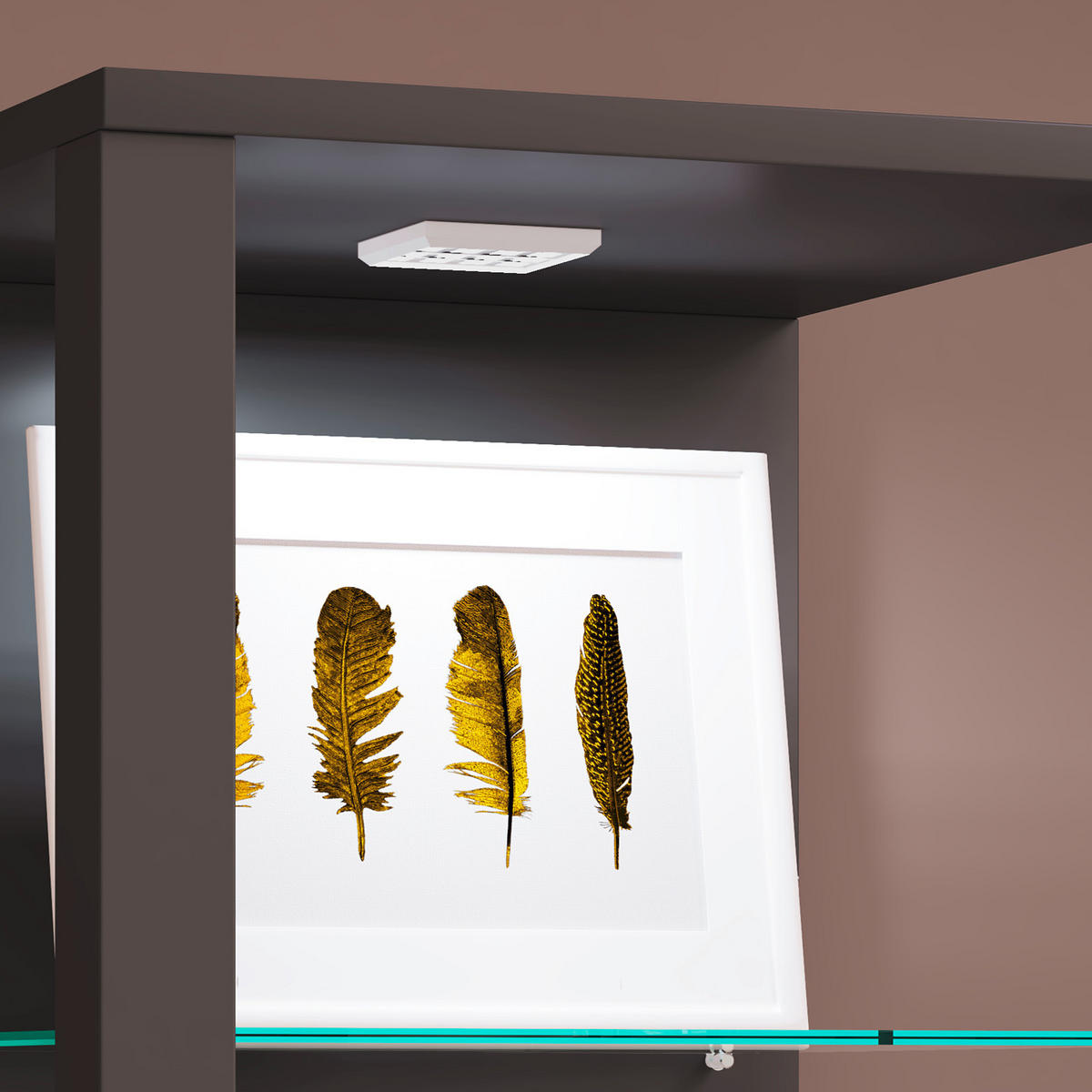 VITRINE in Anthrazit  - Anthrazit, Modern, Glas/Holzwerkstoff (35/90/35cm) - MID.YOU
