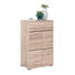 SCHUHSCHRANK 60/103/40 cm - Chromfarben/Eichefarben, Design, Holzwerkstoff/Kunststoff (60/103/40cm) - Xora SCHUHSCHRANK 60/103/40 cm - Chromfarben/Eichefarben, Design, Holzwerkstoff/Kunststoff (60/103/40cm) - Xora