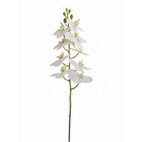 ORCHIDEE  - Creme/Weiß, Basics, Kunststoff (98cm)