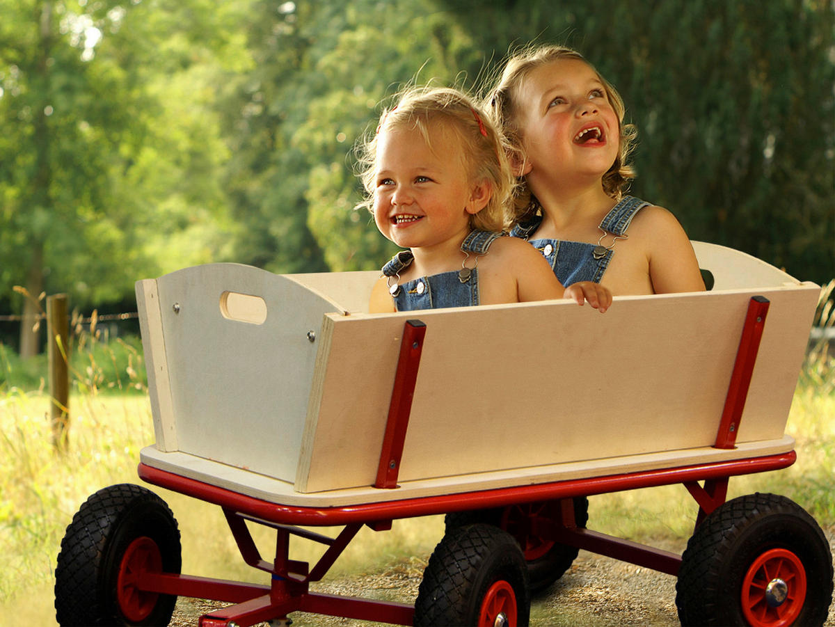 SKLADACÍ VOZÍK - červená, Konventionell, kov/drevo (61/94,5/97cm)