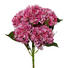 KUNSTBLUME Hortensie - Pink/Grün, Trend, Kunststoff/Metall (63cm)