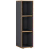 AKTENREGAL Anthrazit, Honigeiche  - Honigeiche/Anthrazit, Design, Holzwerkstoff/Kunststoff (30/110/33cm) - MID.YOU