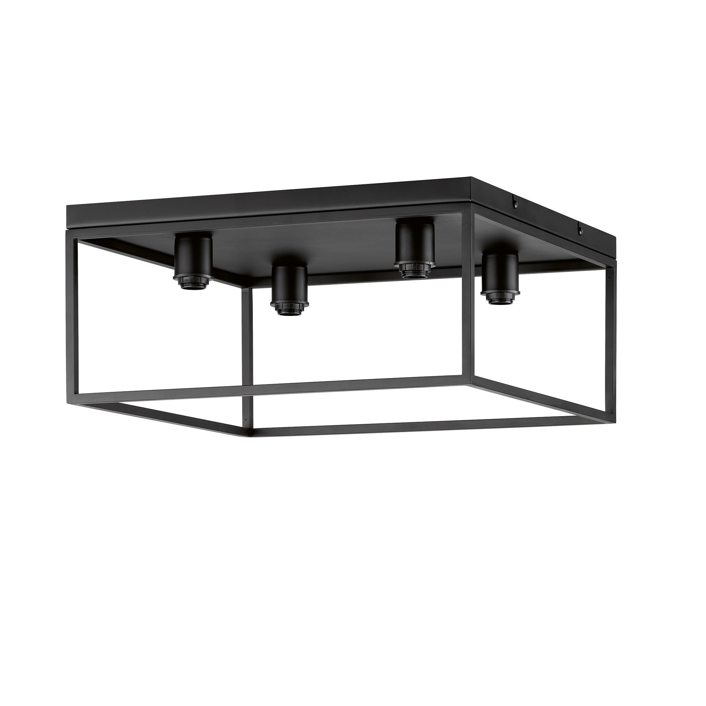DECKENLEUCHTE    16/45/20,50 cm  - Schwarz, Basics, Metall (16/45/20,50cm) - Fischer & Honsel