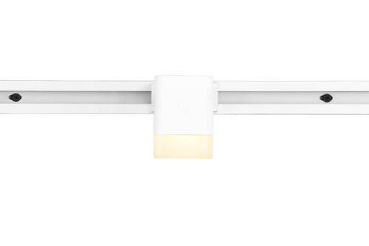 SCHIENENSYSTEM-STRAHLER - Weiss, Basics, Metall (5,0/14,0/8,5cm) - Trio Leuchten
