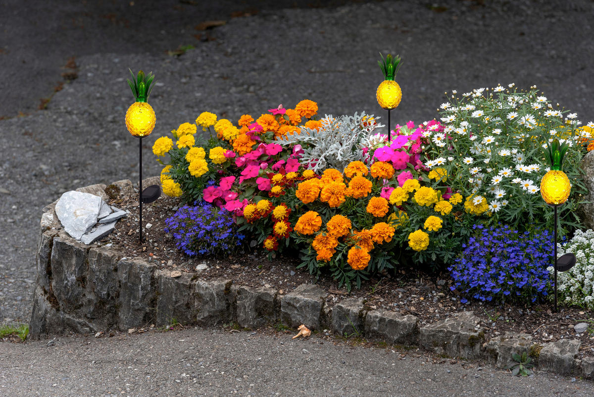 SOLARLEUCHTE  - Schwarz/Orange, Basics, Glas/Metall (10 cm /81 cm cm) - Näve