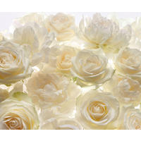NON WOVEN-TAPET 300/250 cm  - multicolor, Basics (300/250cm) - Komar
