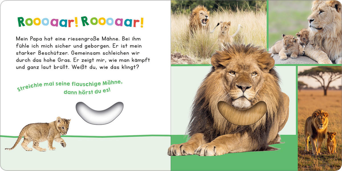 BUCH - Multicolor, Basics, Papier (19,5/19,5/1,8cm)