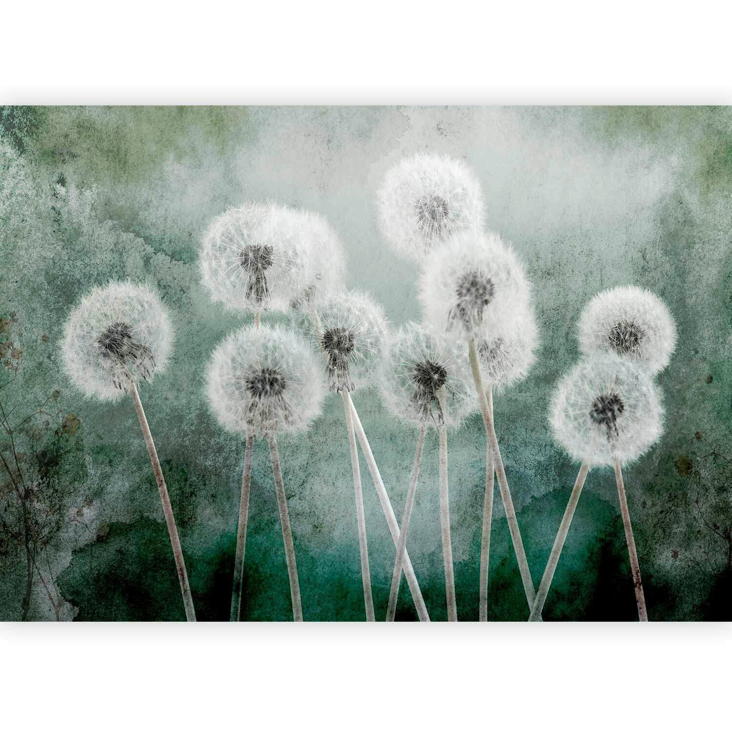 FOTOTAPET 300/210 cm  - grön/grå, Lifestyle, textil (300/210cm) - artgeist