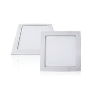 LED-PANEL   18 W//4000 K// - bela, Basics, kovina/umetna masa (22/22cm)