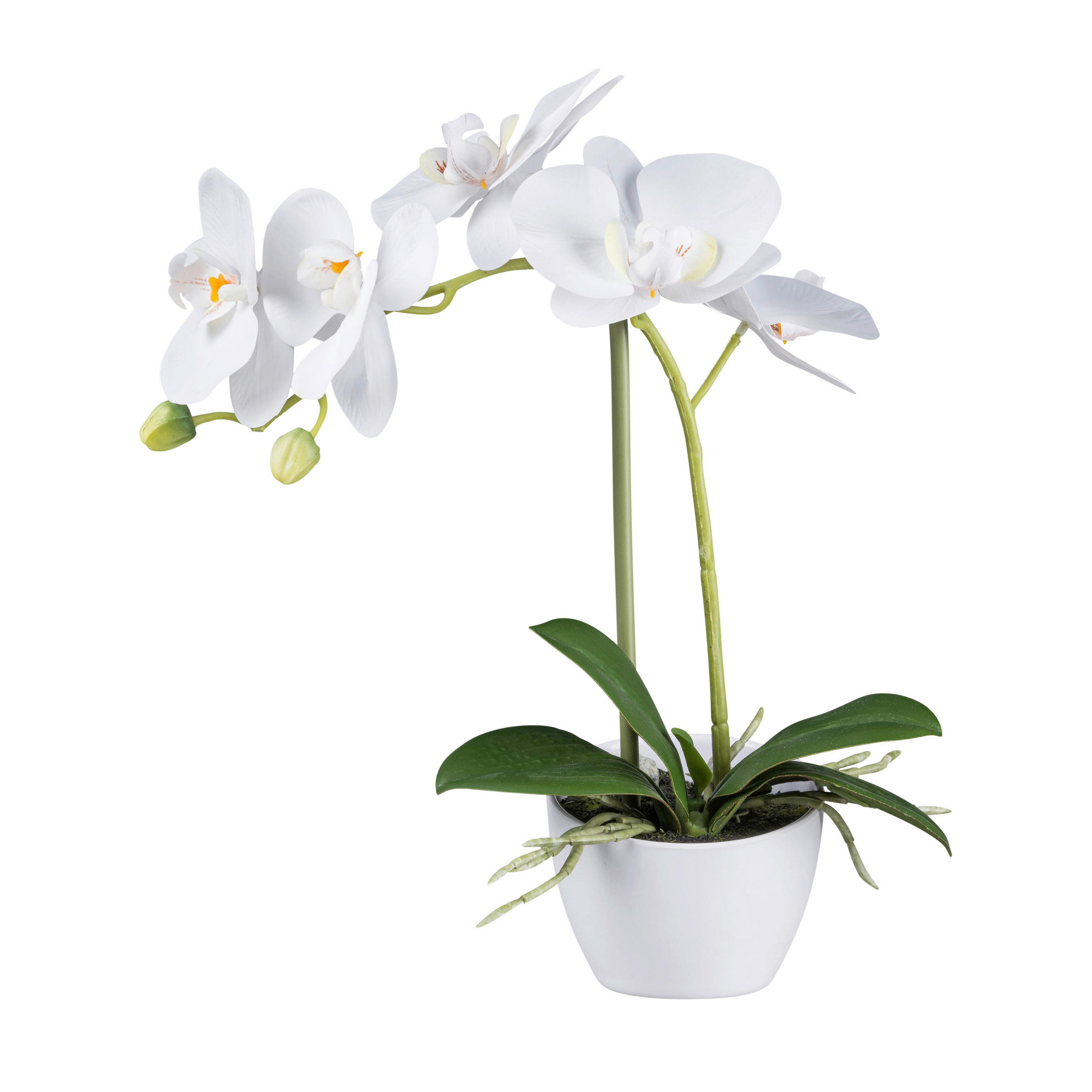 KUNSTPFLANZE Orchidee 33 cm  - Weiß/Grün, Design, Kunststoff (33cm) - P & B