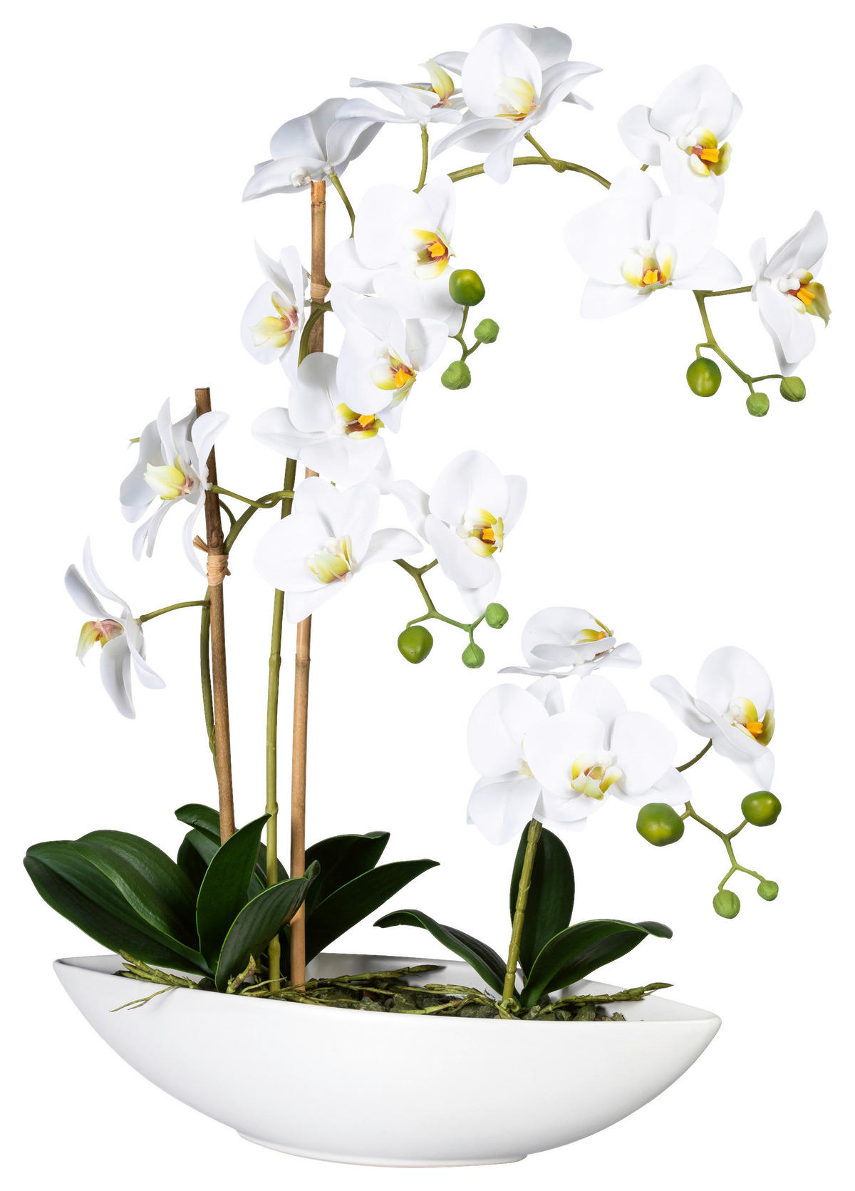 KUNSTPFLANZE Orchidee 60 cm  - Weiß/Grün, Design, Keramik/Kunststoff (60cm) - P & B