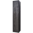 SCHRANK in Schwarz, Eichefarben  - Eichefarben/Anthrazit, Natur, Holz/Metall (42/205,5/39,5cm) - Valnatura