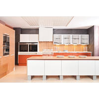 EINBAUKÜCHE   - Design, Holz - Dan Küchen