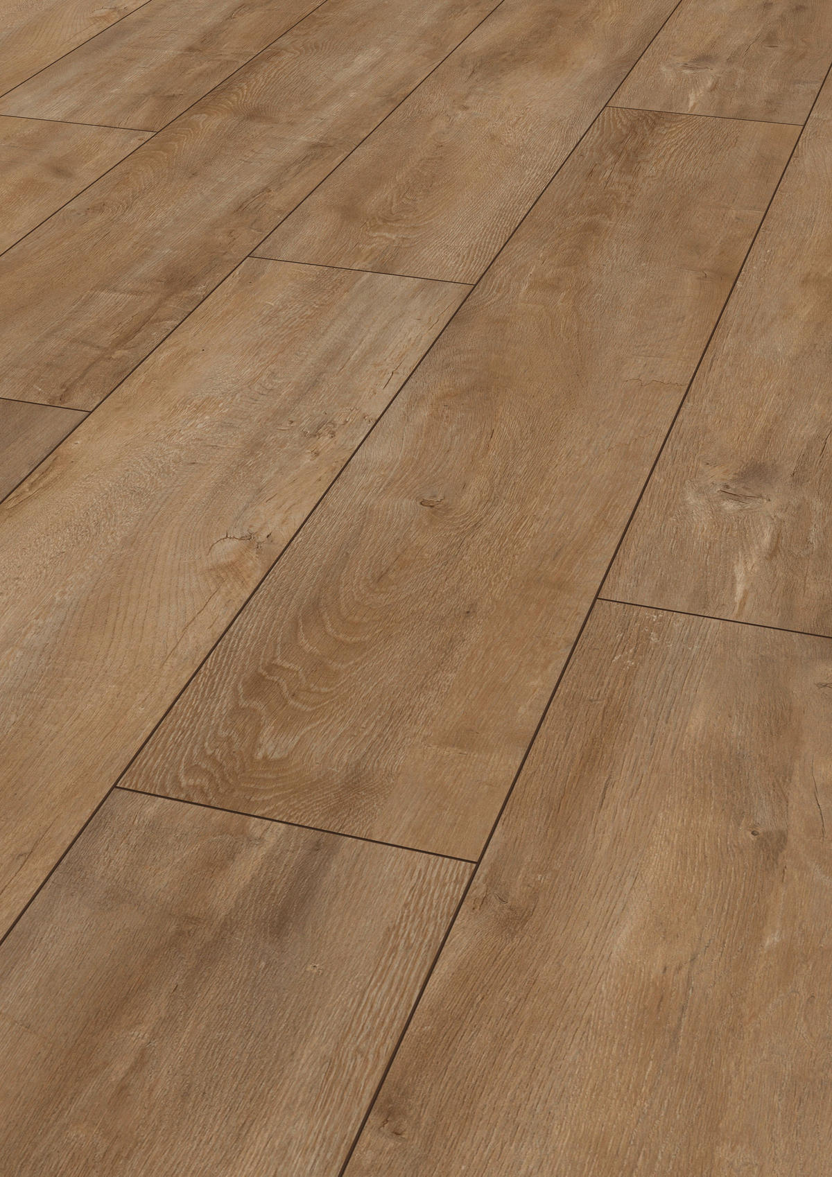 LAMINATBODEN Exquisit Plus  - Eichefarben, KONVENTIONELL, Holz (138.0/24.4/0.8cm)