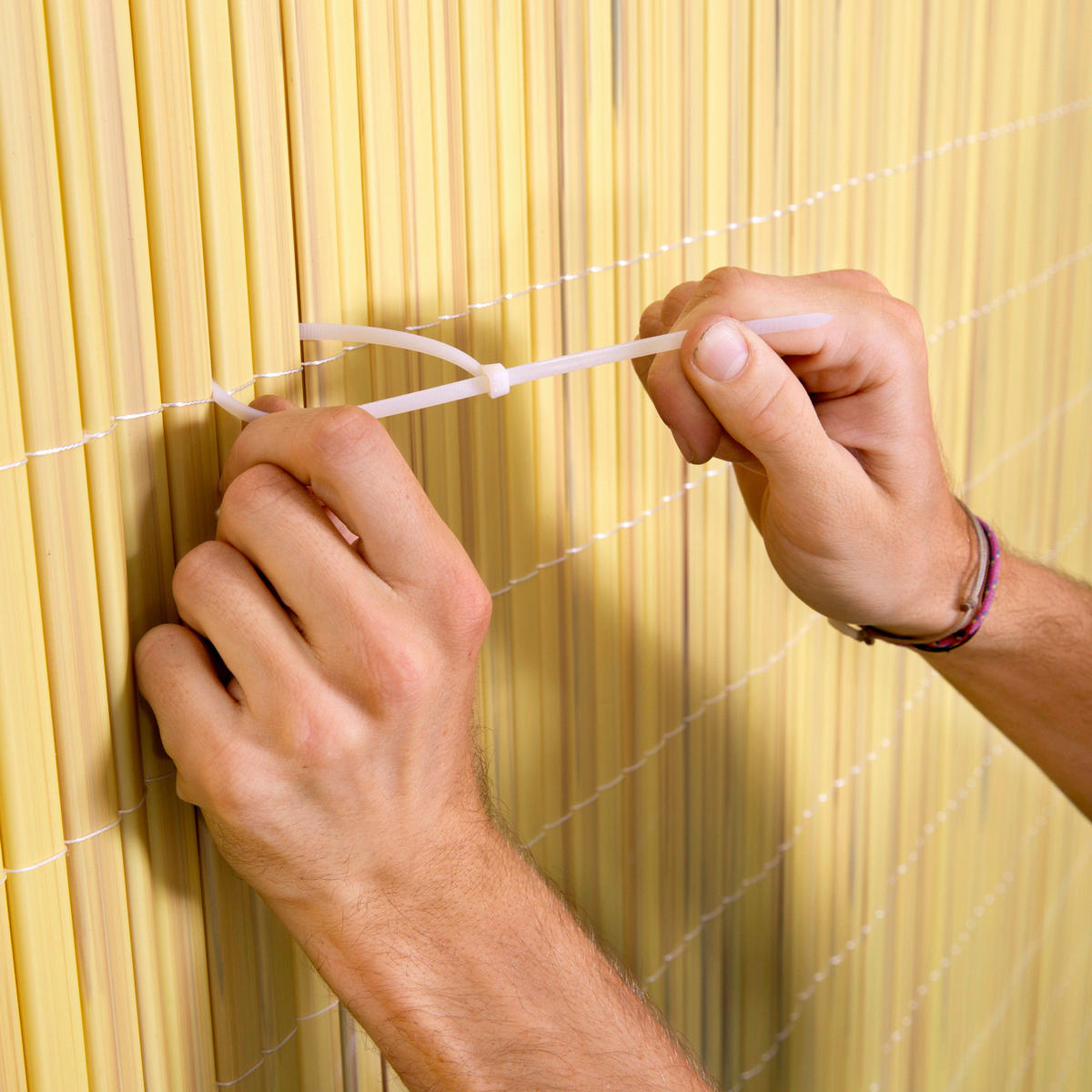 SICHTSCHUTZ - Beige, Basics, Kunststoff (300/150cm)