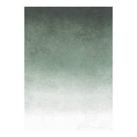 FOTOTAPETE  - Weiß/Grün, Basics, Papier/Kunststoff (200/280cm) - Xora