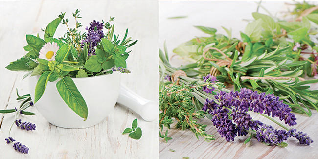 GLASBILD Gewürze  - Multicolor, Natur, Glas (20/40/1,40cm) - Euroart