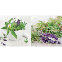 GLASBILD Gewürze  - Multicolor, Natur, Glas (20/40/1,40cm) - Euroart