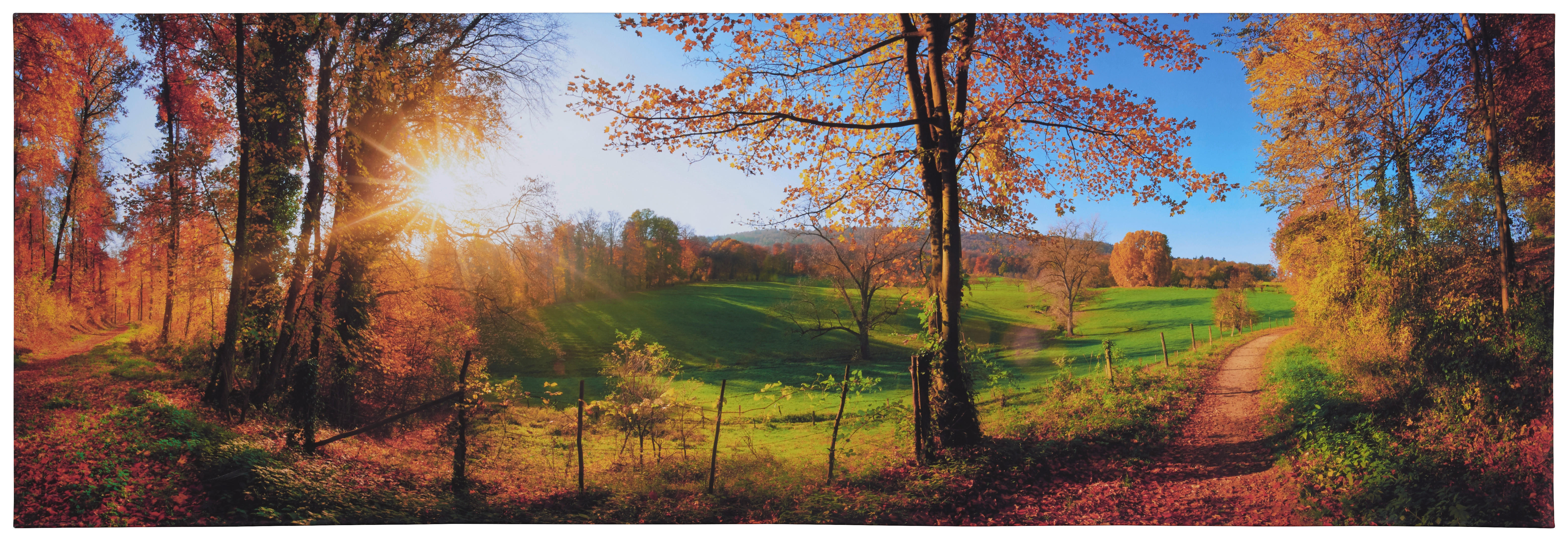 LEINWANDBILD Landschaft & Natur  - Multicolor, Natur, Holz/Papier (180/60/3cm) - Euroart