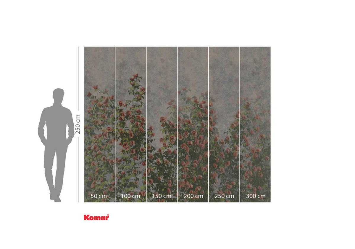 VLIESTAPETE  - Multicolor, Basics (300/250cm) - Xora