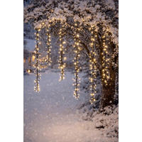 LICHTERKETTE 170 cm  - Transparent, Basics, Kunststoff (170cm)