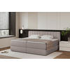 BOXSPRINGBETT 240/200 cm  in Taupe  - Taupe/Schwarz, Design, Kunststoff/Textil (240/200cm) - Chameo