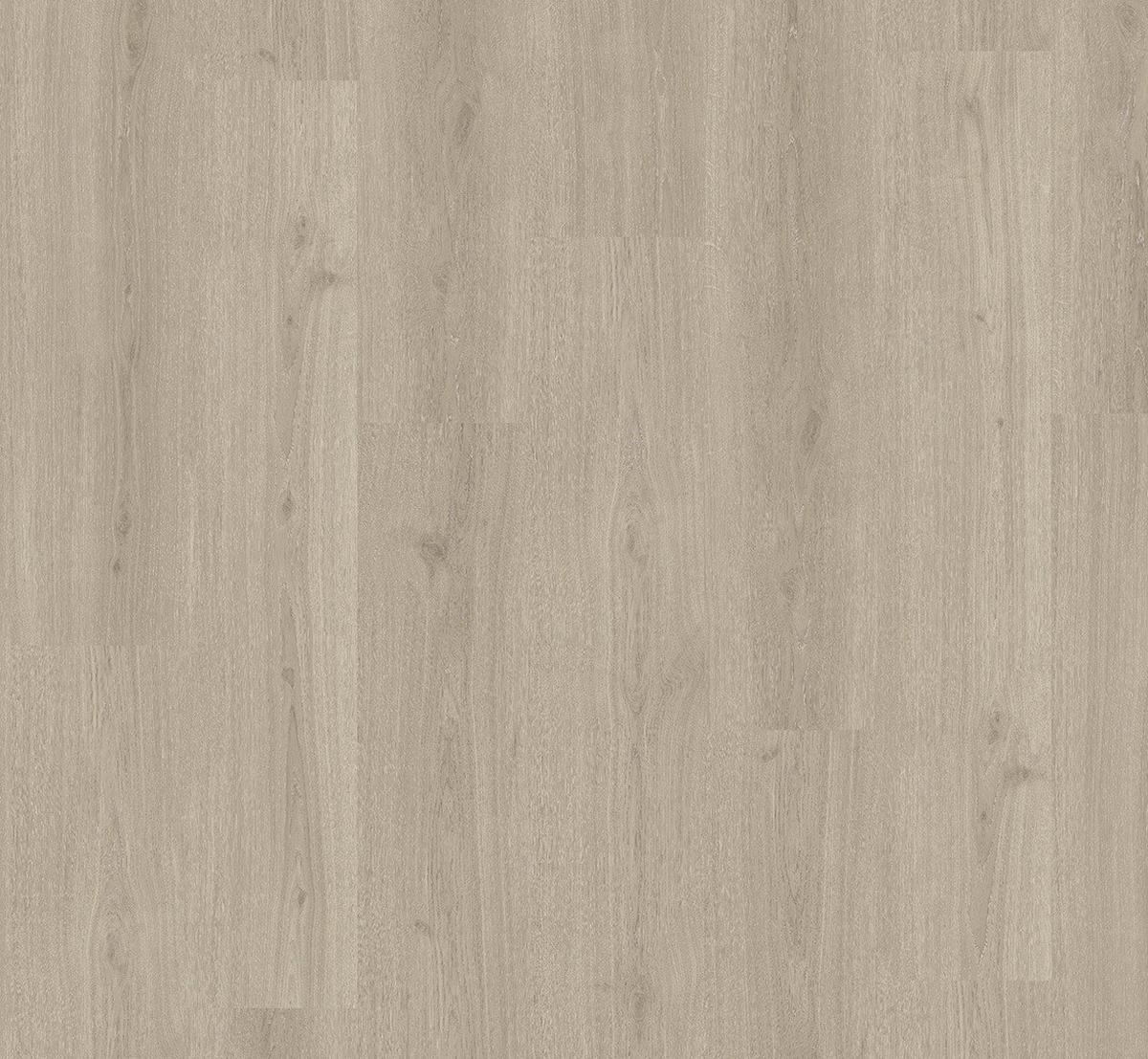 VINYLBODEN Vinyl Basic 30  per  m² - Eichefarben, Basics, Holzwerkstoff (120.7/21.6/0.94cm) - Parador